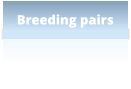 Breeding pairs