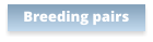 Breeding pairs